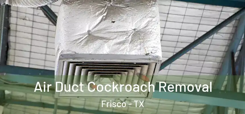 Air Duct Cockroach Removal Frisco - TX