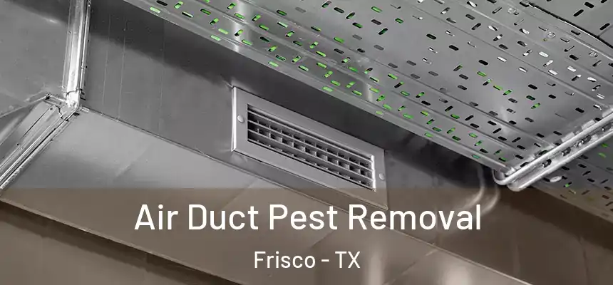 Air Duct Pest Removal Frisco - TX