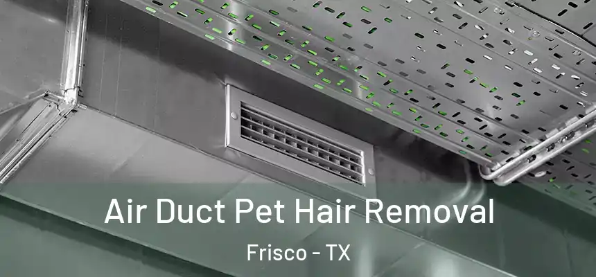 Air Duct Pet Hair Removal Frisco - TX