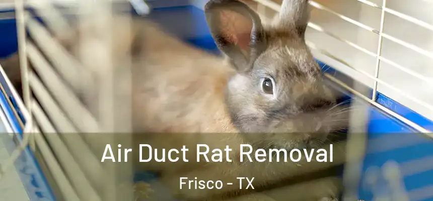 Air Duct Rat Removal Frisco - TX