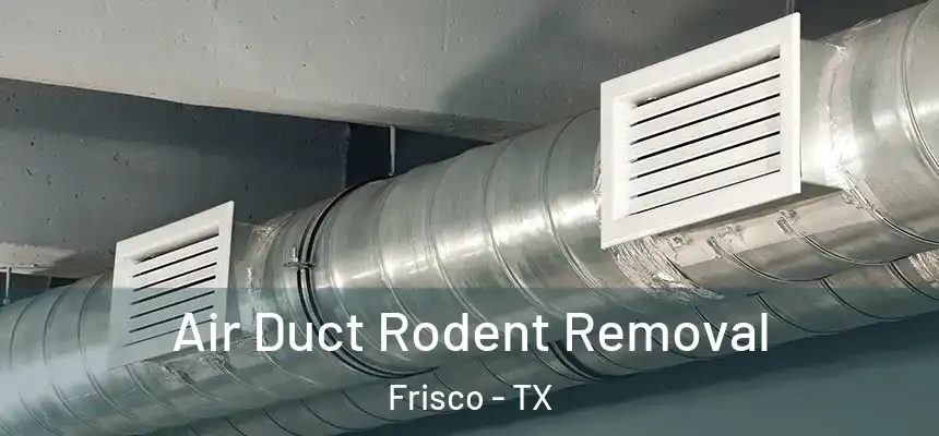 Air Duct Rodent Removal Frisco - TX