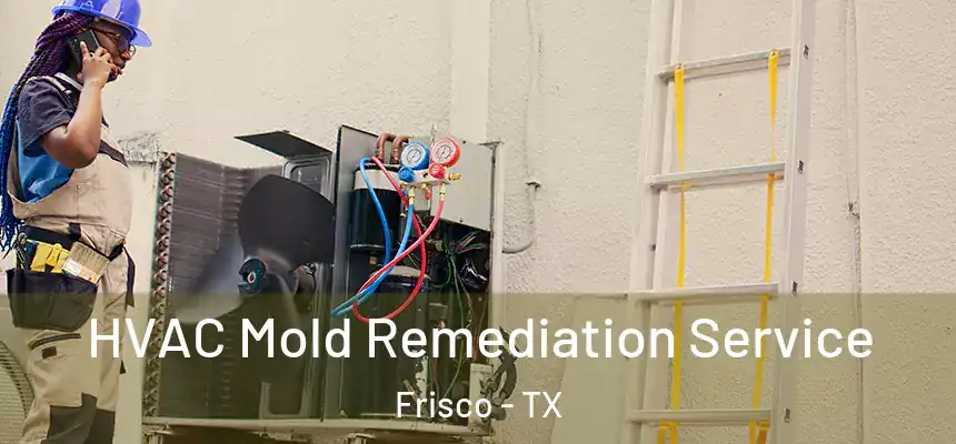  HVAC Mold Remediation Service Frisco - TX
