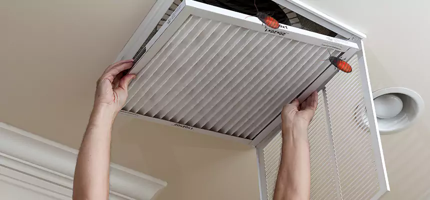 Preventive Cockroach-Proofing for Ducts in Frisco