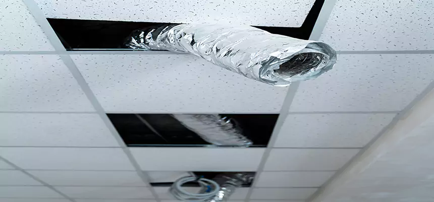 Affordable HVAC Sanitizing After Pest Removal in Frisco