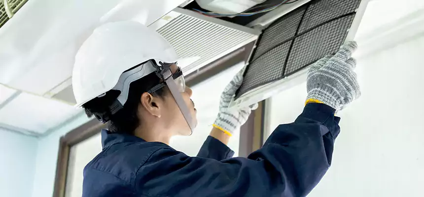 Our Mold & Mildew Removal from Air Ducts Services in Frisco, TX