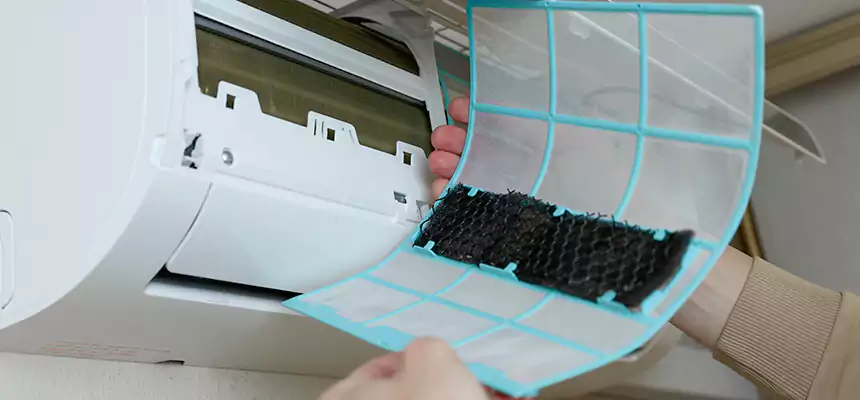 Gentle Ductwork Odor-Control Pet Dander Duct Cleaning in Frisco, TX