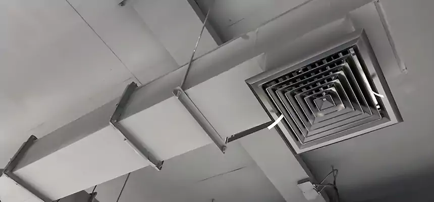 Our Rodent Droppings In Vents Services in Frisco, TX