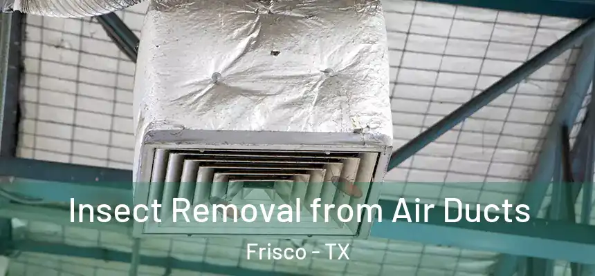  Insect Removal from Air Ducts Frisco - TX