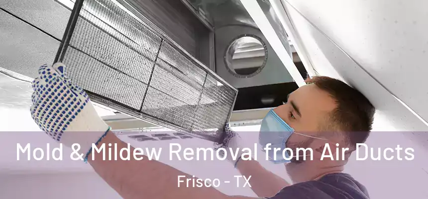 Mold & Mildew Removal from Air Ducts Frisco - TX