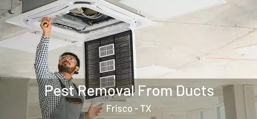 Pest Removal From Ducts Frisco - TX