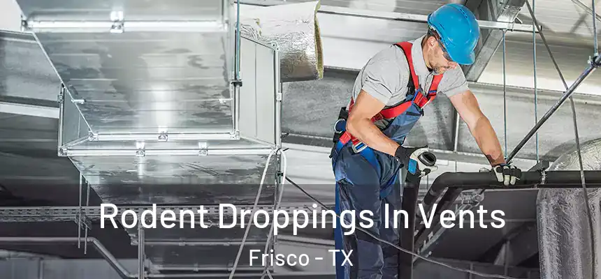 Rodent Droppings In Vents Frisco - TX