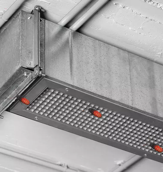 About Air Duct Cockroach Removal in Frisco, TX