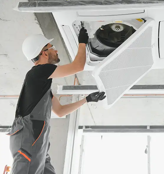 About Air Duct Rodent Removal in Frisco, TX