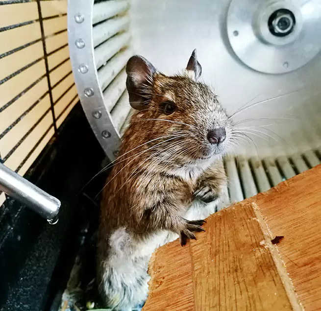 Why Homeowners & Businesses Trust Us Frisco, TX