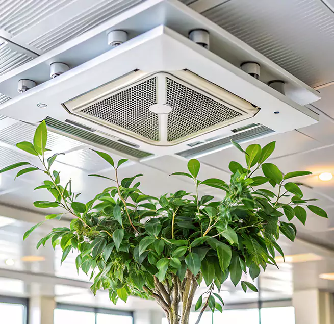 Why Homeowners & Businesses Trust Us in Frisco, TX?