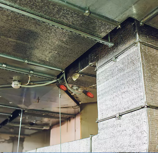 Why Homeowners & Businesses Trust Us Frisco, TX?